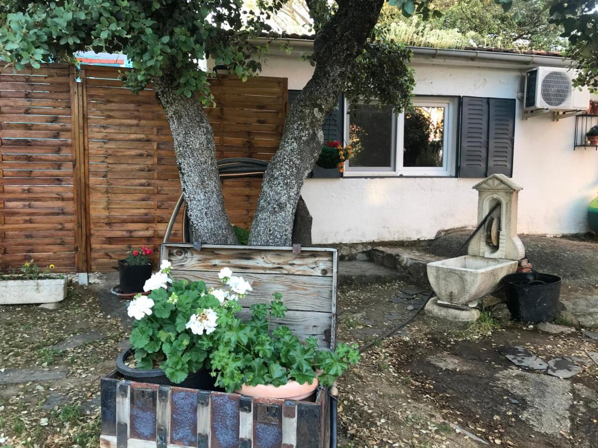 Cabana Jara Y Enebro Collado Villalba Exterior photo